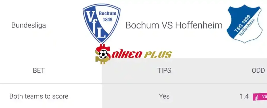 Soi Kèo Dự Đoán: Bochum vs Hoffenheim, 1h30 ngày 27/04/2024