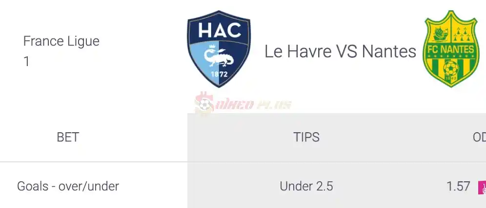 Soi Kèo Dự Đoán: Le Havre vs Nantes, 18h ngày 14/04/2024