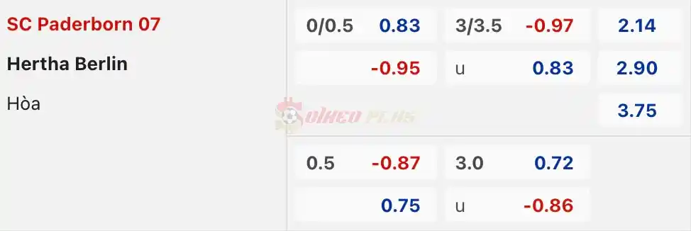 Soi Kèo Dự Đoán: Paderborn vs Hertha Berlin, 23h30 ngày 05/04/2024