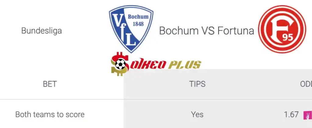 Soi Kèo Dự Đoán: Bochum vs Dusseldorf, 1h30 ngày 24/05/2024