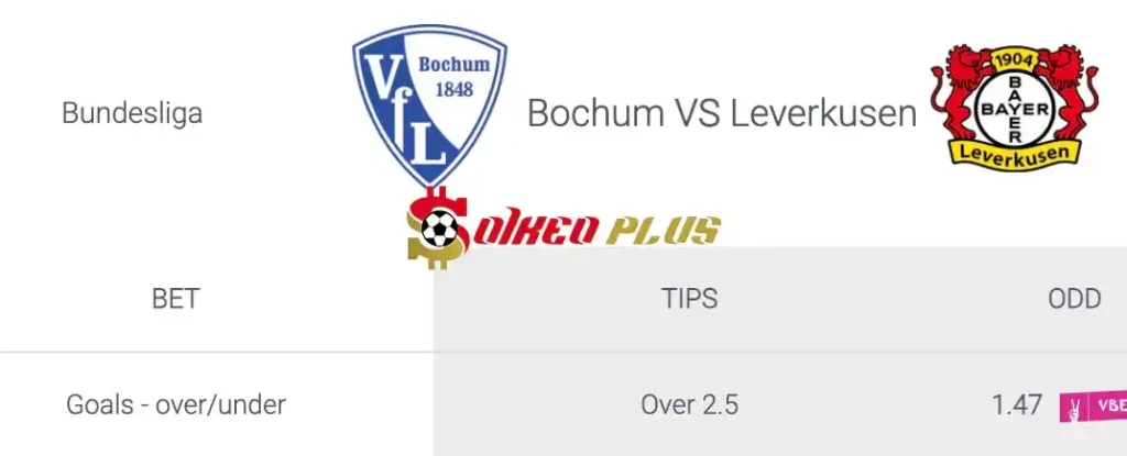 Soi Kèo Dự Đoán: Bochum vs Leverkusen, 0h30 ngày 13/05/2024