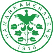 HamKam Logo