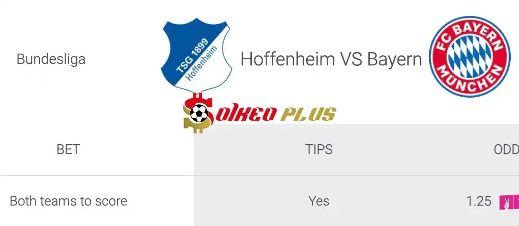 Soi Kèo Dự Đoán: Hoffenheim vs Bayern Munich, 20h30 ngày 18/05/2024