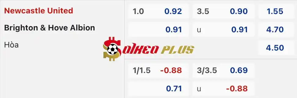 Soi Kèo Dự Đoán: Newcastle vs Brighton, 21h ngày 11/05/2024