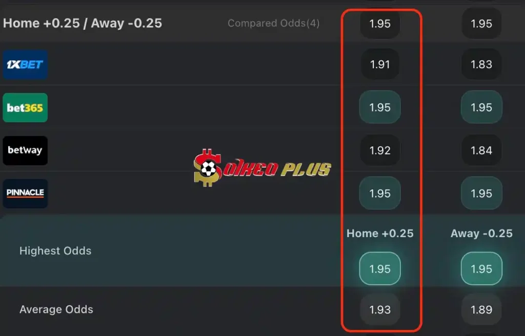 Lật Tẩy Nhà Cái: Norwich vs Leeds cùng SoikeoPlus.co (12/5/2024)