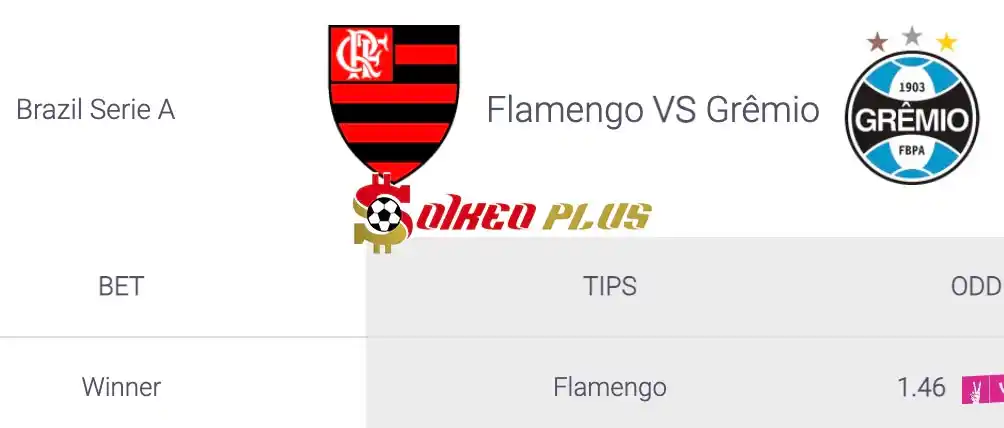 Soi Kèo Dự Đoán: Flamengo vs Gremio, 6h ngày 15/06/2024