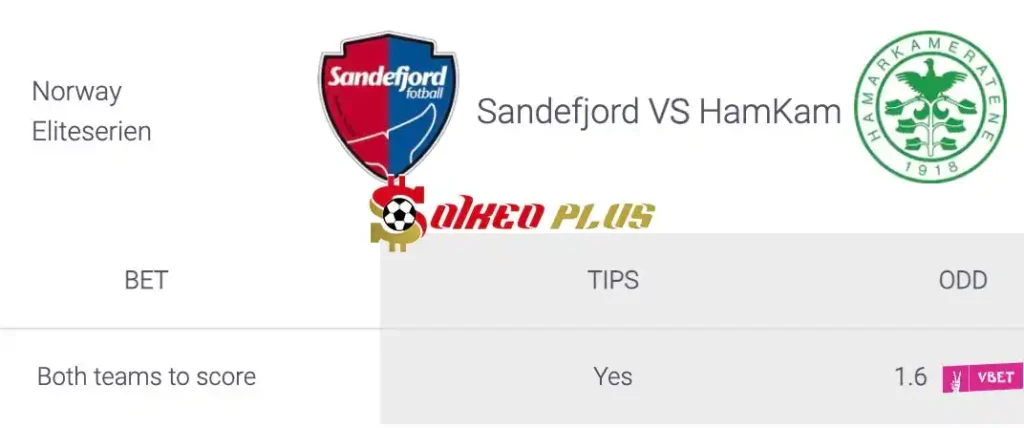 Soi Kèo Dự Đoán: Sandefjord vs HamKam, 0h ngày 28/06/2024