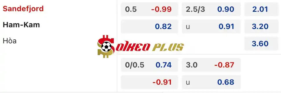 Soi Kèo Dự Đoán: Sandefjord vs HamKam, 0h ngày 28/06/2024