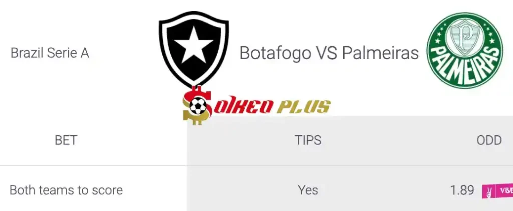 Soi Kèo Dự Đoán: Botafogo vs Palmeiras, 7h30 ngày 18/07/2024