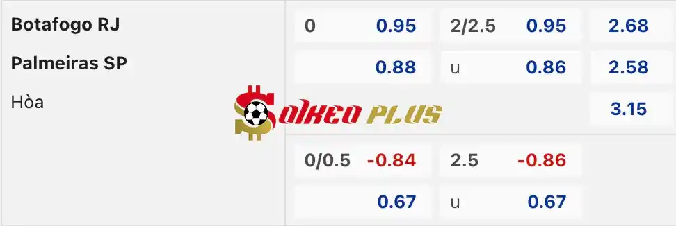 Soi Kèo Dự Đoán: Botafogo vs Palmeiras, 7h30 ngày 18/07/2024