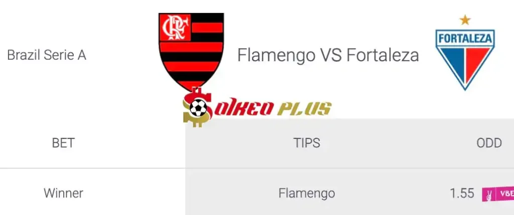 Soi Kèo Dự Đoán: Flamengo vs Fortaleza, 6h ngày 12/07/2024