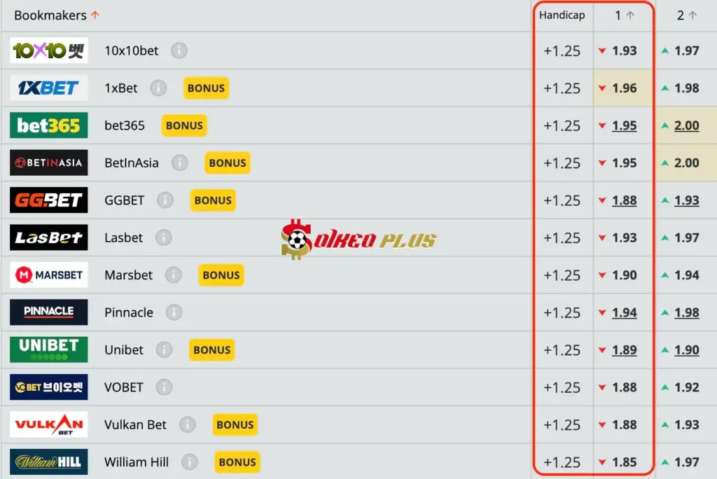 Lật Tẩy Nhà Cái: Romania vs Hà Lan cùng SoikeoPlus.co (02/07/2024)