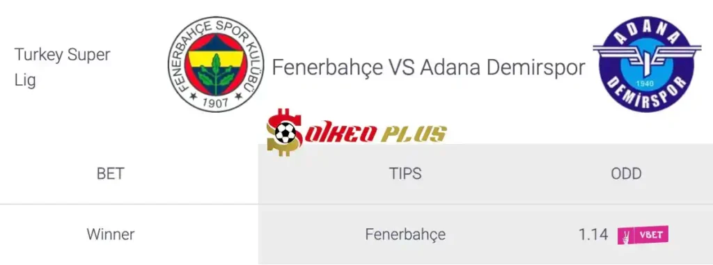 Soi Kèo Dự Đoán: Fenerbahce vs Adana Demirspor, 1h45 ngày 11/08/2024