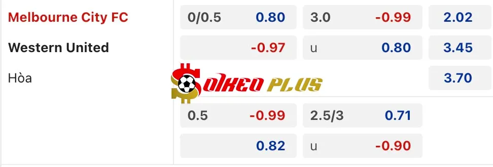Soi Kèo Dự Đoán: Melbourne City vs Western United, 14h ngày 07/01/2025