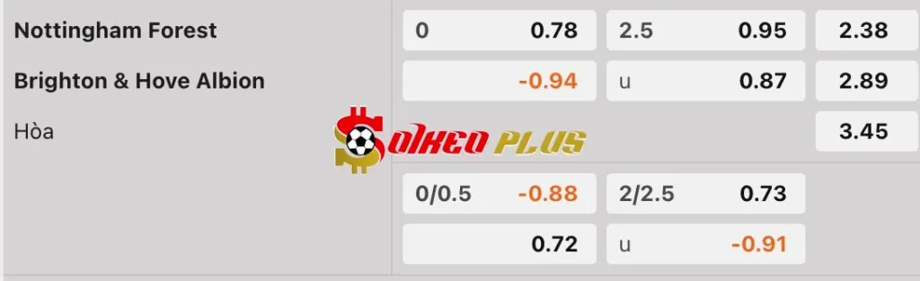 Soi Kèo Dự Đoán: Nottingham vs Brighton, 19h30 ngày 1/2/2025